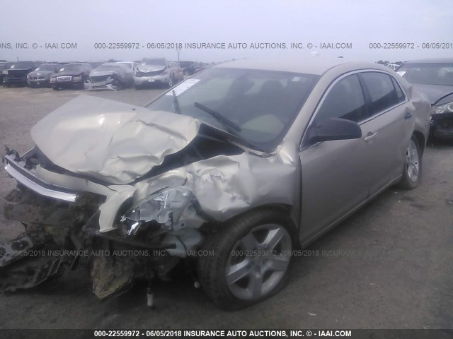 1G1ZB5E09CF272497 - 2012 CHEVROLET MALIBU LS თაფლისფერი ფოტო 2