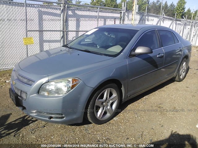 1G1ZG57B09F218501 - 2009 CHEVROLET MALIBU LS BLUE photo 2