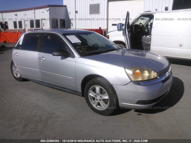 1G1ZT64865F336721 - 2005 CHEVROLET MALIBU MAXX LS 银色 照片 1