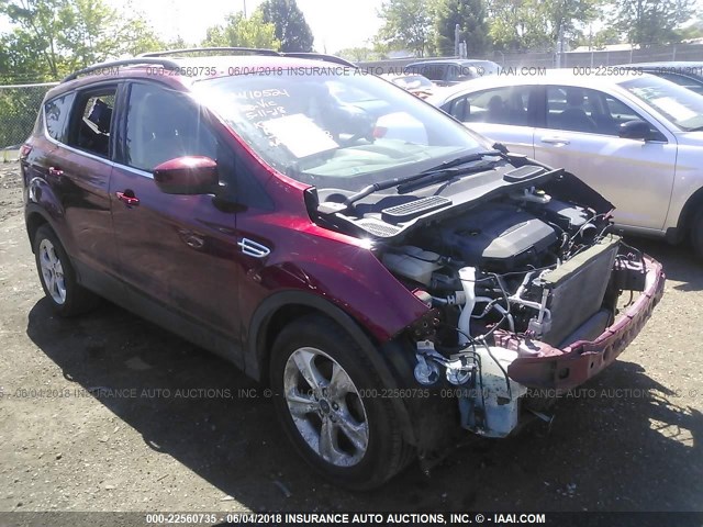 1FMCU0GXXEUA61291 - 2014 FORD ESCAPE SE RED photo 1