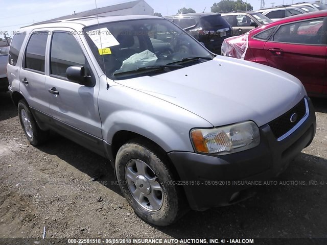 1FMYU03103KD40359 - 2003 FORD ESCAPE XLT SILVER photo 1