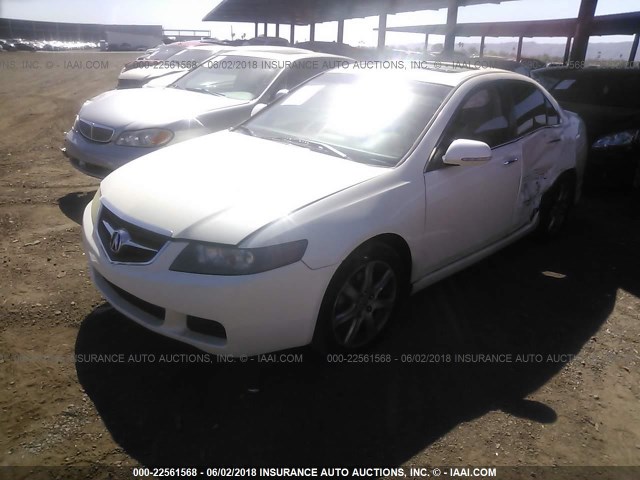 JH4CL96865C028816 - 2005 ACURA TSX WHITE photo 2