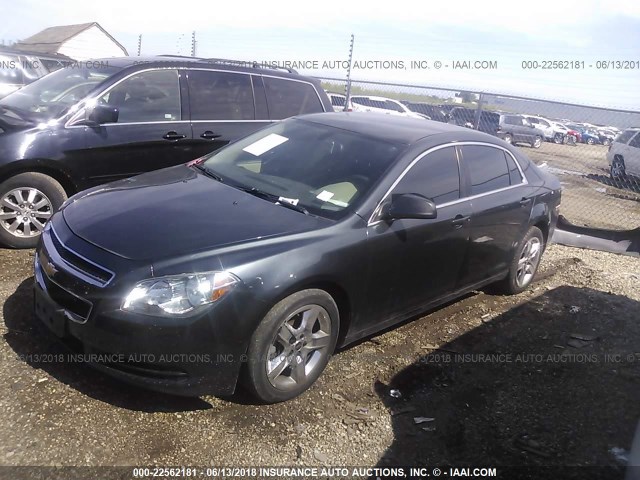 1G1ZB5E0XCF354500 - 2012 CHEVROLET MALIBU LS 海军蓝 照片 2