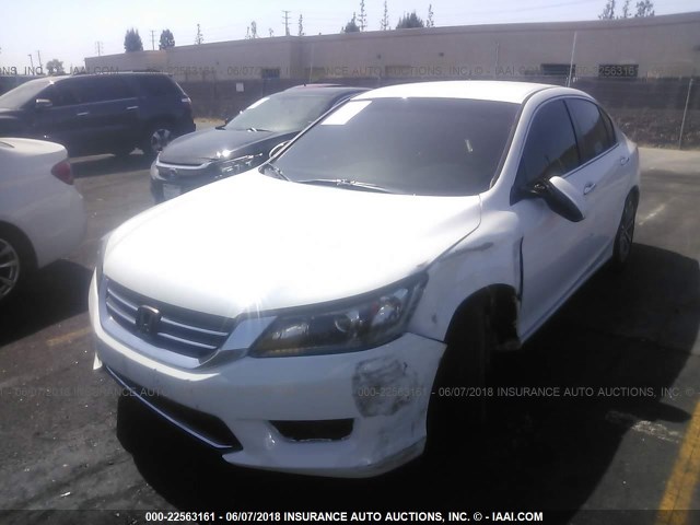 1HGCR2F57EA281007 - 2014 HONDA ACCORD SPORT WHITE photo 2