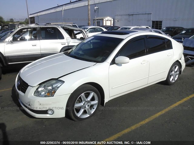 1N4BA41E94C882951 - 2004 NISSAN MAXIMA SE/SL WHITE photo 2