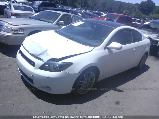 JTKDE167790283287 - 2009 TOYOTA SCION TC 白色 照片 2