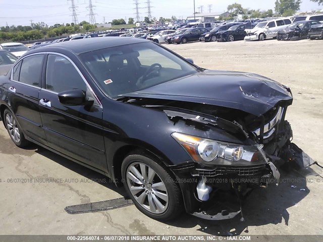 1HGCP3F81BA005830 - 2011 HONDA ACCORD EXL BLACK photo 1