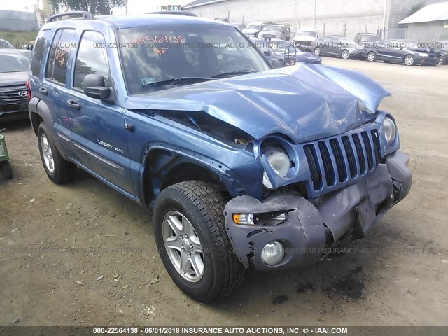 1J4GL48K13W607037 - 2003 JEEP LIBERTY SPORT/FREEDOM ლურჯი ფოტო 1