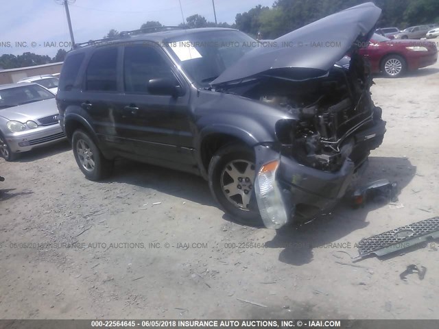 1FMCU94174KB19792 - 2004 FORD ESCAPE LIMITED GRAY photo 1