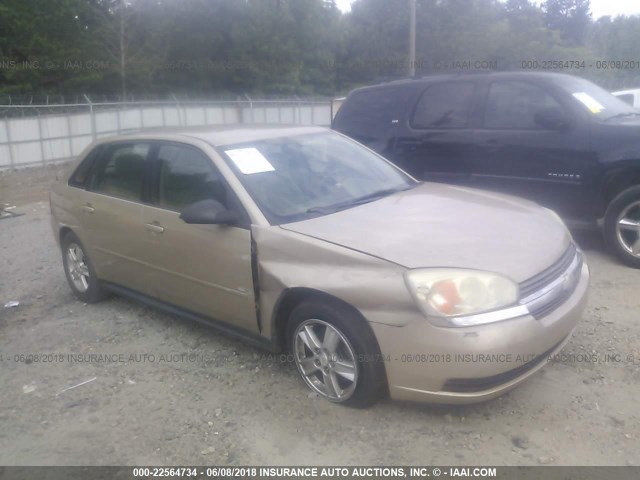 1G1ZT62824F218019 - 2004 CHEVROLET MALIBU MAXX LS GOLD photo 1