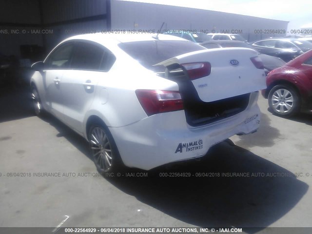 KNADM4A38D6132915 - 2013 KIA RIO LX WHITE photo 3