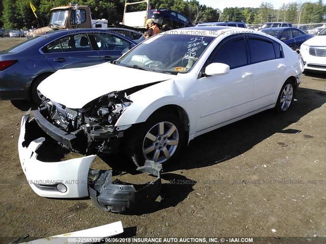 1N4BA41E64C844884 - 2004 NISSAN MAXIMA SE/SL WHITE photo 2