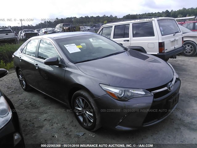 4T1BF1FK5FU019078 - 2015 TOYOTA CAMRY LE/XLE/SE/XSE GRAY photo 1