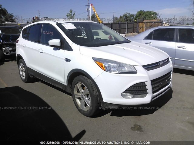 1FMCU9GX0DUC37266 - 2013 FORD ESCAPE SE WHITE photo 1