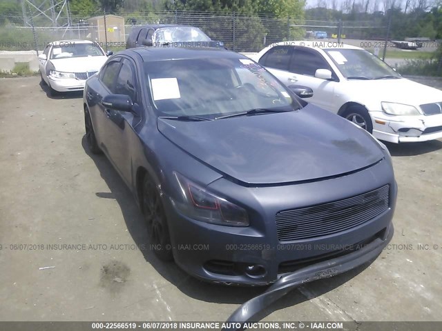 1N4AA51E49C803517 - 2009 NISSAN MAXIMA S/SV GRAY photo 1