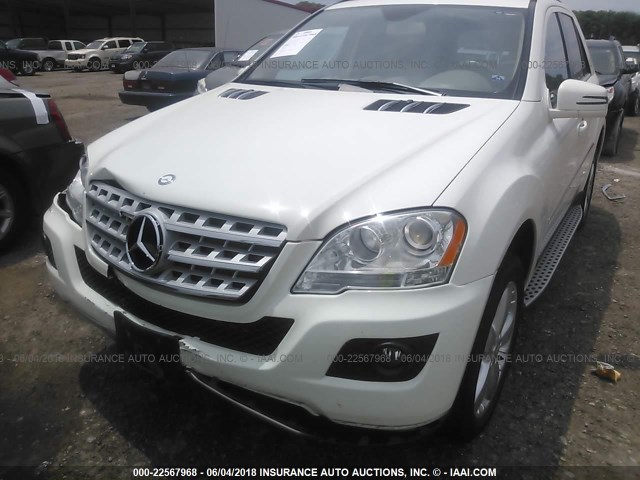 4JGBB8GB3BA725206 - 2011 MERCEDES-BENZ ML 350 4MATIC WHITE photo 6