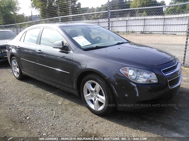 1G1ZA5EU4CF391046 - 2012 CHEVROLET MALIBU LS Boz foto 1