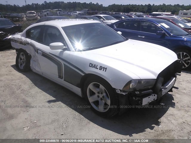 2C3CDXAT6DH577253 - 2013 DODGE CHARGER POLICE WHITE photo 1