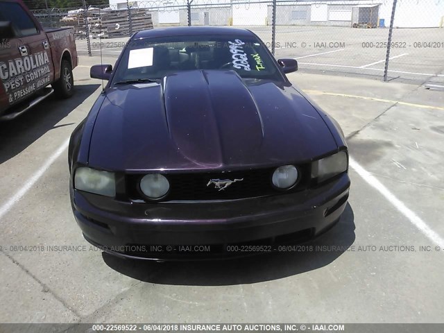 1ZVHT82H655222996 - 2005 FORD MUSTANG GT MAROON photo 6