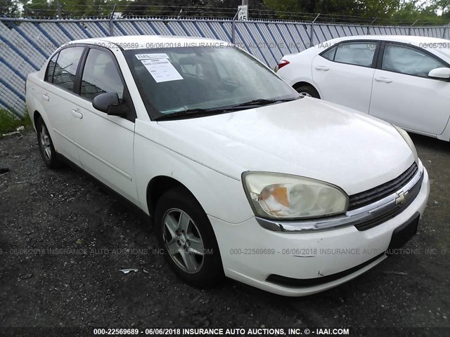 1G1ZT52825F338737 - 2005 CHEVROLET MALIBU LS 白色 照片 1