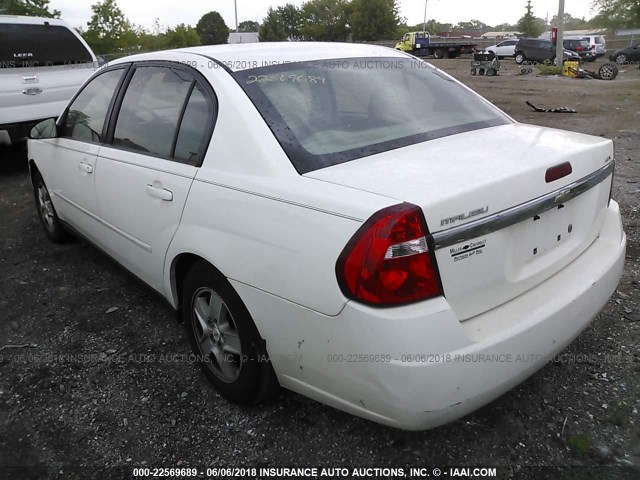 1G1ZT52825F338737 - 2005 CHEVROLET MALIBU LS 白色 照片 3