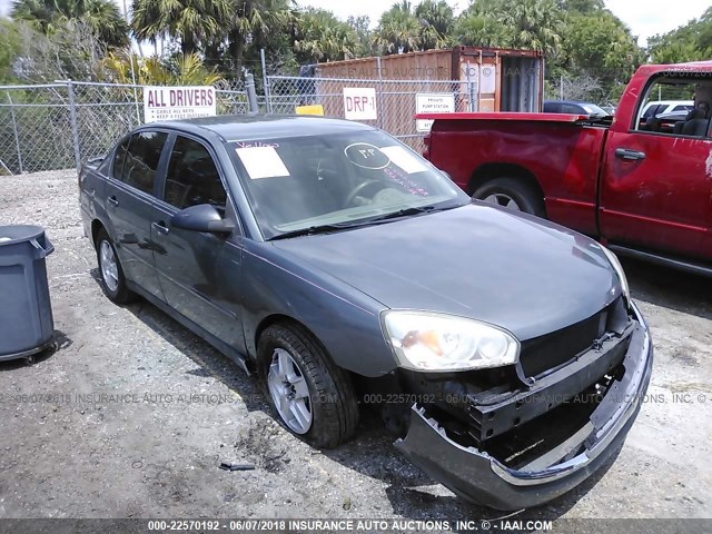 1G1ZT54855F105030 - 2005 CHEVROLET MALIBU LS ნაცრისფერი ფოტო 1
