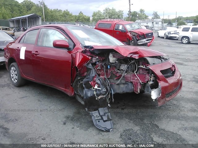 JTDBL40E499067079 - 2009 TOYOTA COROLLA LE/XLE RED photo 1