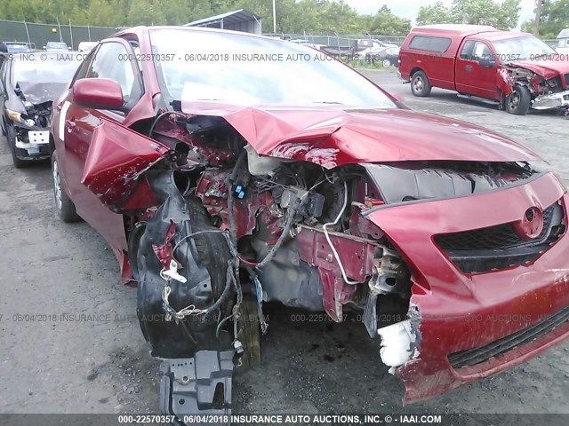 JTDBL40E499067079 - 2009 TOYOTA COROLLA LE/XLE RED photo 6