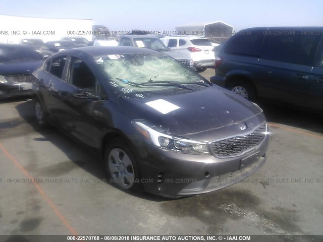 3KPFK4A79HE073913 - 2017 KIA FORTE LX BROWN photo 1