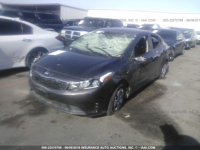 3KPFK4A79HE073913 - 2017 KIA FORTE LX BROWN photo 2