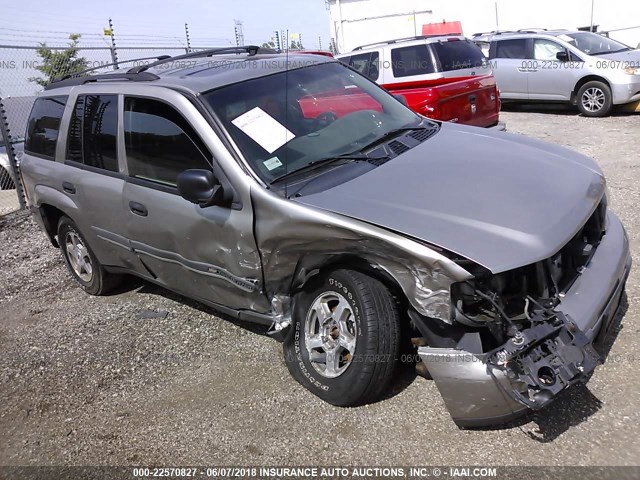 1GNDT13S322504617 - 2002 CHEVROLET TRAILBLAZER  TAN photo 1