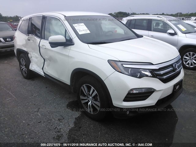 5FNYF5H33GB039691 - 2016 HONDA PILOT EX WHITE photo 1