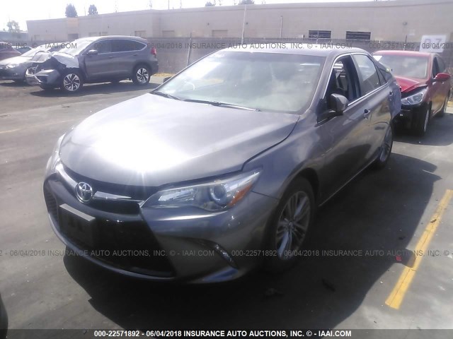 4T1BF1FK4HU717362 - 2017 TOYOTA CAMRY LE/XLE/SE/XSE GRAY photo 2