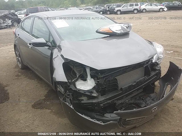 KNAFX4A82E5076411 - 2014 KIA FORTE EX GRAY photo 1