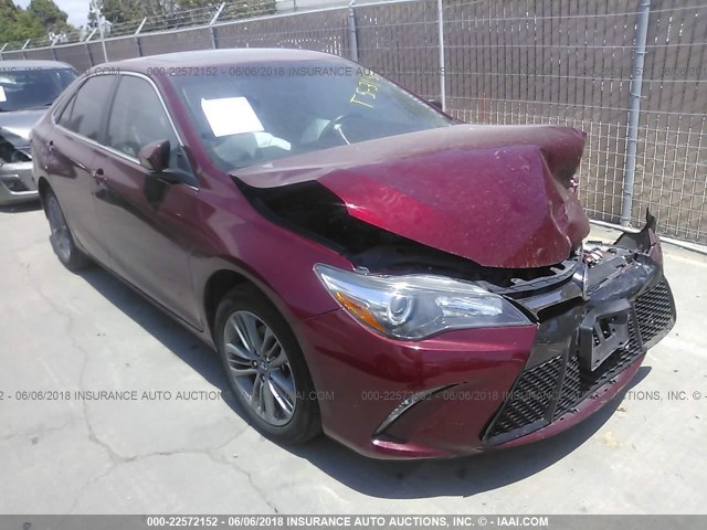 4T1BF1FKXGU568521 - 2016 TOYOTA CAMRY LE/XLE/SE/XSE RED photo 1