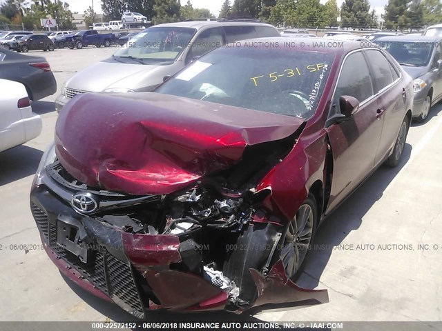 4T1BF1FKXGU568521 - 2016 TOYOTA CAMRY LE/XLE/SE/XSE RED photo 2