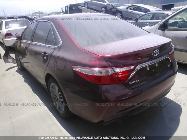 4T1BF1FKXGU568521 - 2016 TOYOTA CAMRY LE/XLE/SE/XSE RED photo 3