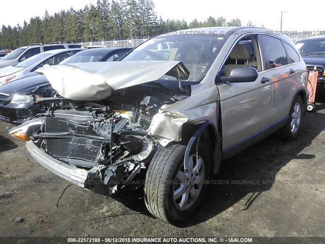 JHLRE48508C069381 - 2008 HONDA CR-V EX შამპანური ფოტო 2