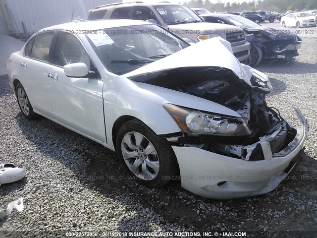 5KBCP3F86AB012875 - 2010 HONDA ACCORD EXL WHITE photo 1