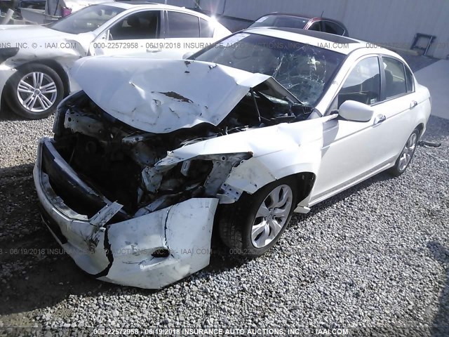 5KBCP3F86AB012875 - 2010 HONDA ACCORD EXL WHITE photo 2