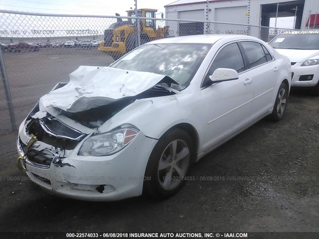 1G1ZC5EU1BF284769 - 2011 CHEVROLET MALIBU 1LT 白色 照片 2