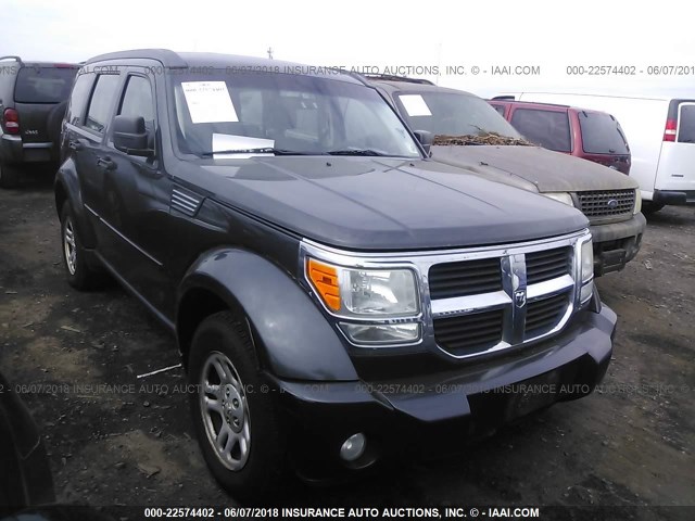 1D4PU2GK7BW535643 - 2011 DODGE NITRO SE GRAY photo 1