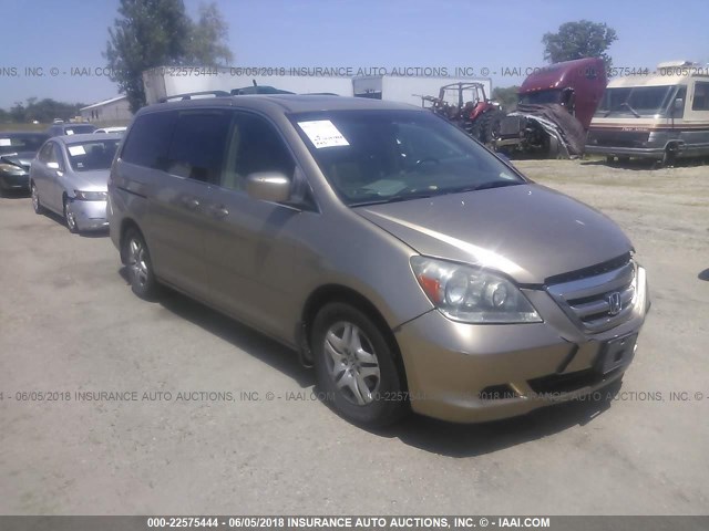 5FNRL38636B405109 - 2006 HONDA ODYSSEY EXL GOLD photo 1