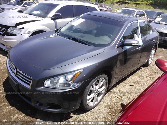 1N4AA5AP1CC832918 - 2012 NISSAN MAXIMA S/SV GRAY photo 2