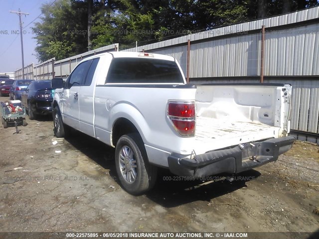 1FTEX1CW1AKE64198 - 2010 FORD F150 SUPER CAB WHITE photo 3