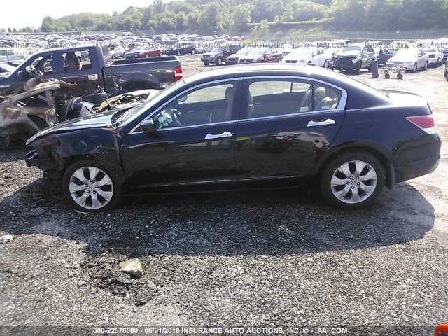 1HGCP36898A055383 - 2008 HONDA ACCORD EXL BLACK photo 2