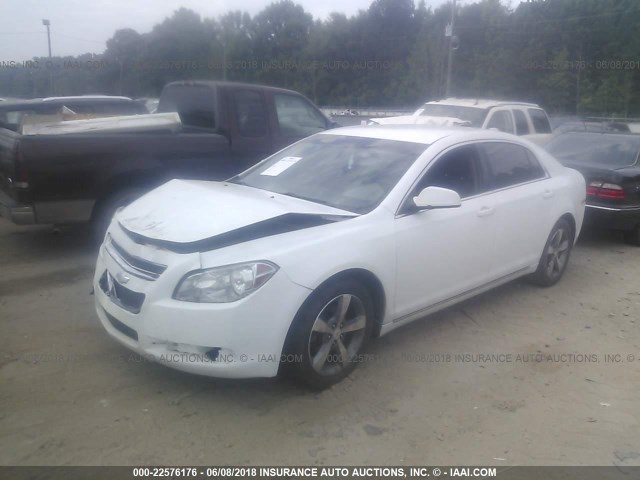 1G1ZC5E10BF295378 - 2011 CHEVROLET MALIBU 1LT თეთრი ფოტო 2