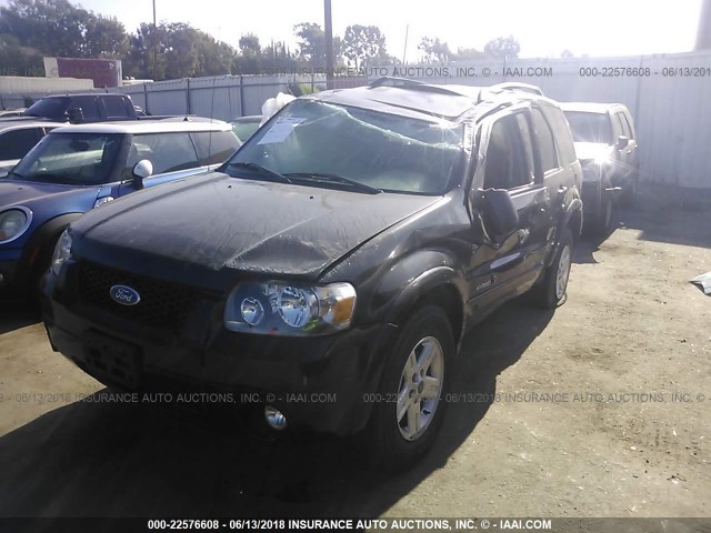 1FMCU49H77KB70254 - 2007 FORD ESCAPE HEV BLACK photo 2