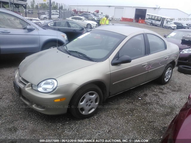 1B3ES26C62D511853 - 2002 DODGE NEON GOLD photo 2