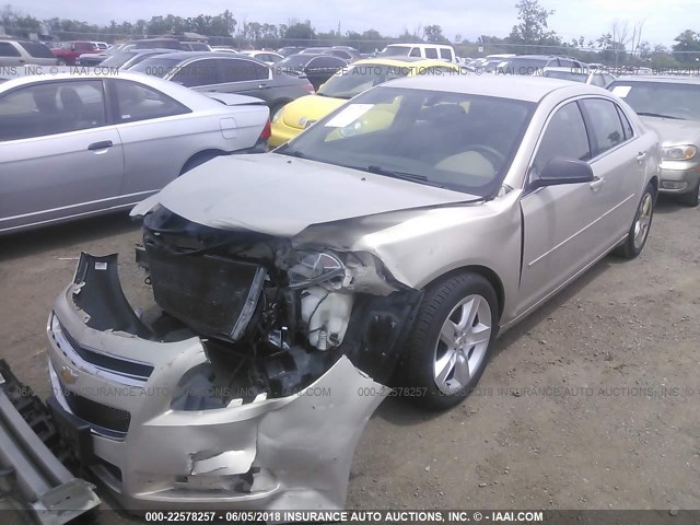 1G1ZB5E12BF242250 - 2011 CHEVROLET MALIBU LS Qızıl foto 2